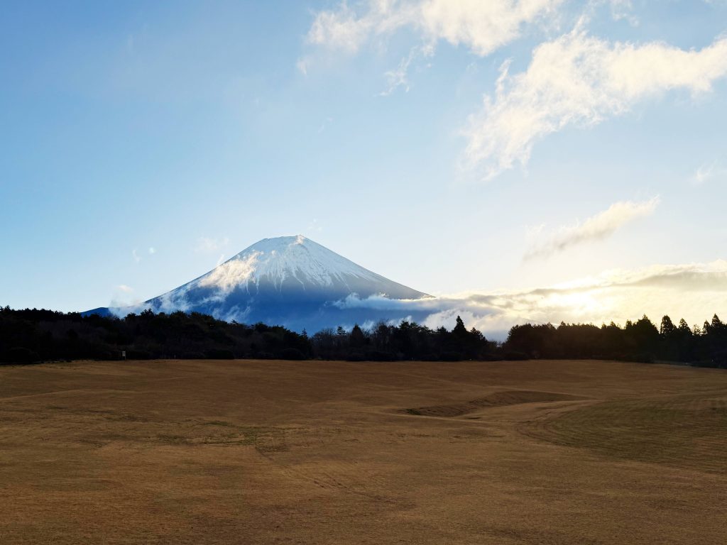 5C991606-C365-4CD4-9154-CD0971DEC90F